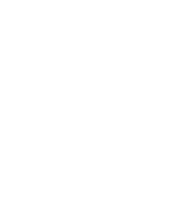 Logo ELSA